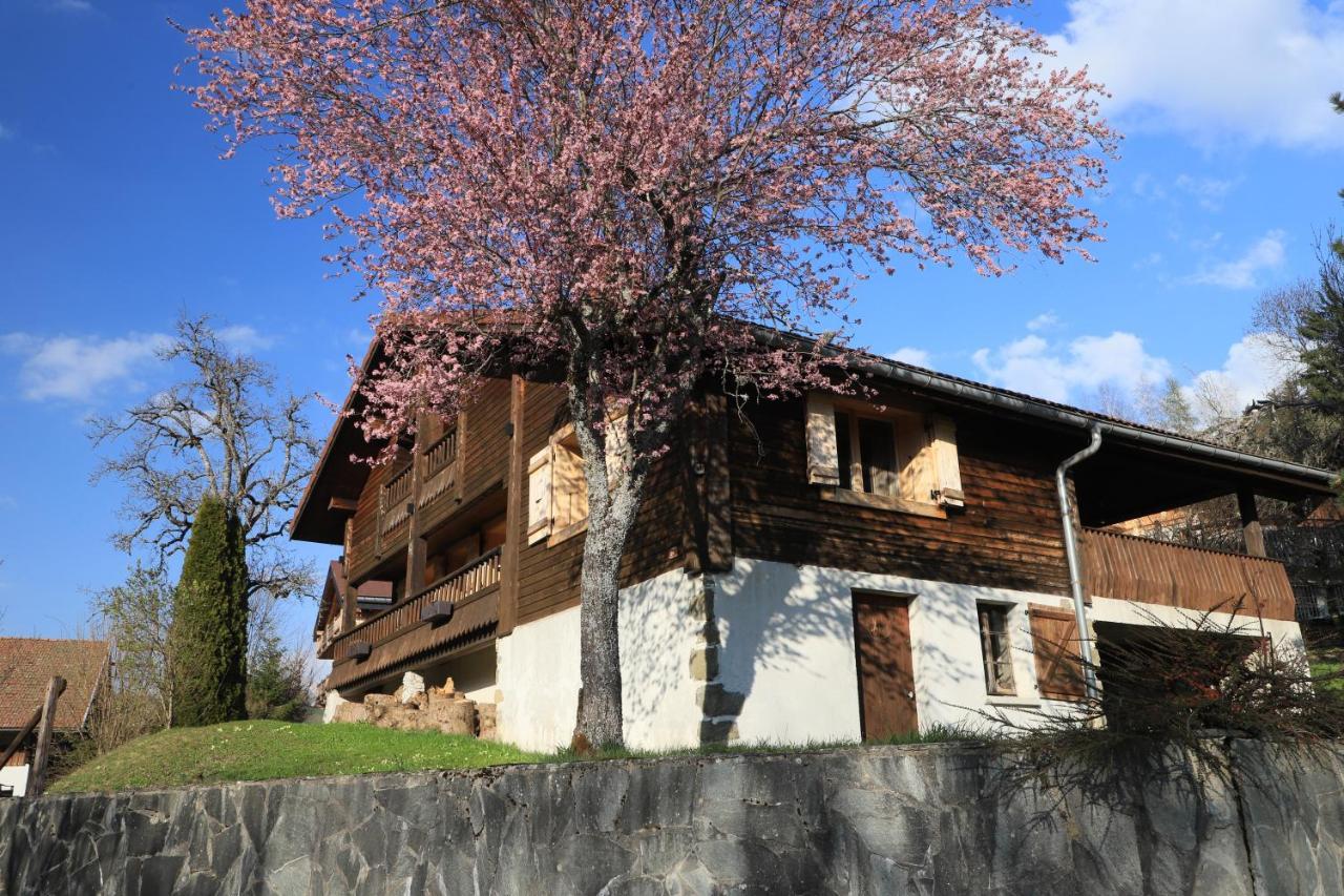 Willa Sous Les Ecotagnes Les Villards-sur-Thônes Zewnętrze zdjęcie